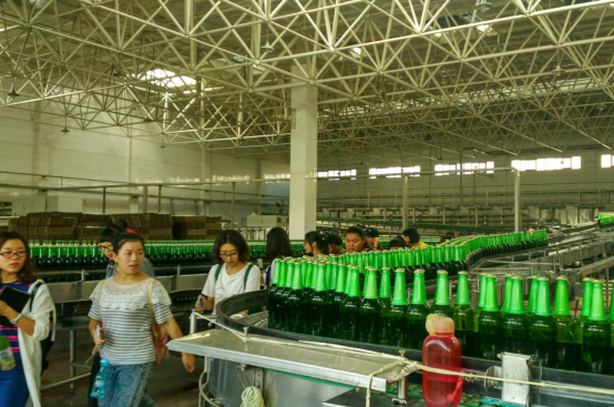 2014级生物工程实习总结新闻稿_巩志金 (24525)642 2014级生物工程实习总结新闻稿_巩志金 (24525)642