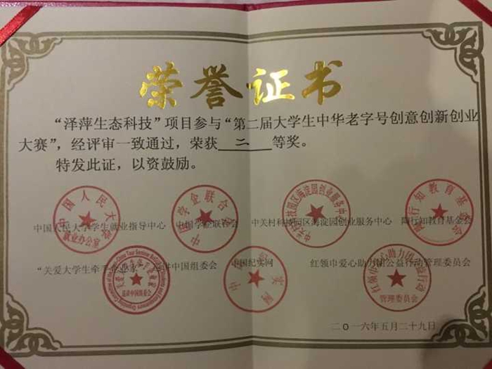 的